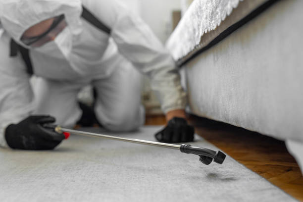 Professional Wasp Control technician working in North Kansas City, MO