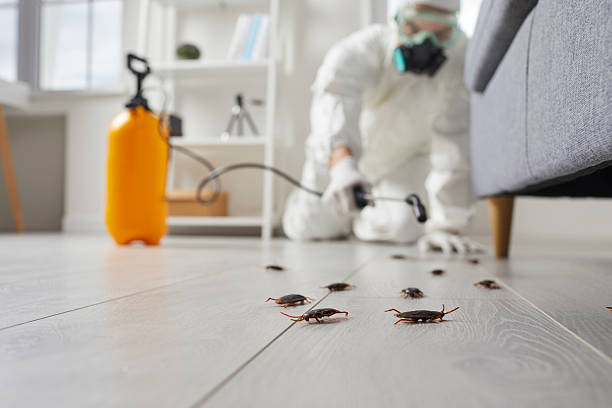 Trusted Mosquito Control service in North Kansas City, MO - Nex Pest Control