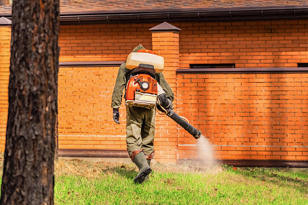 Trusted Cockroach Control service in North Kansas City, MO - Nex Pest Control